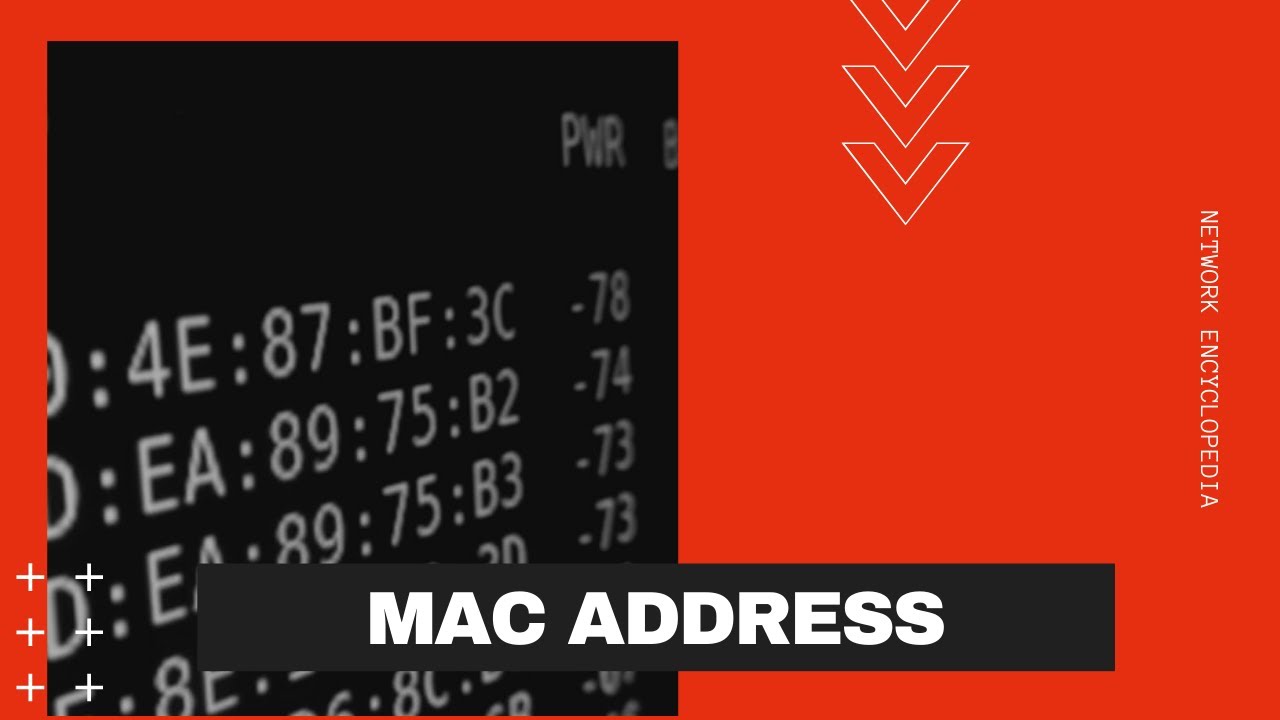 mac address stand for